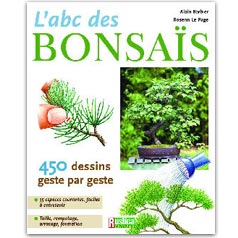 ABC dos BONSAS